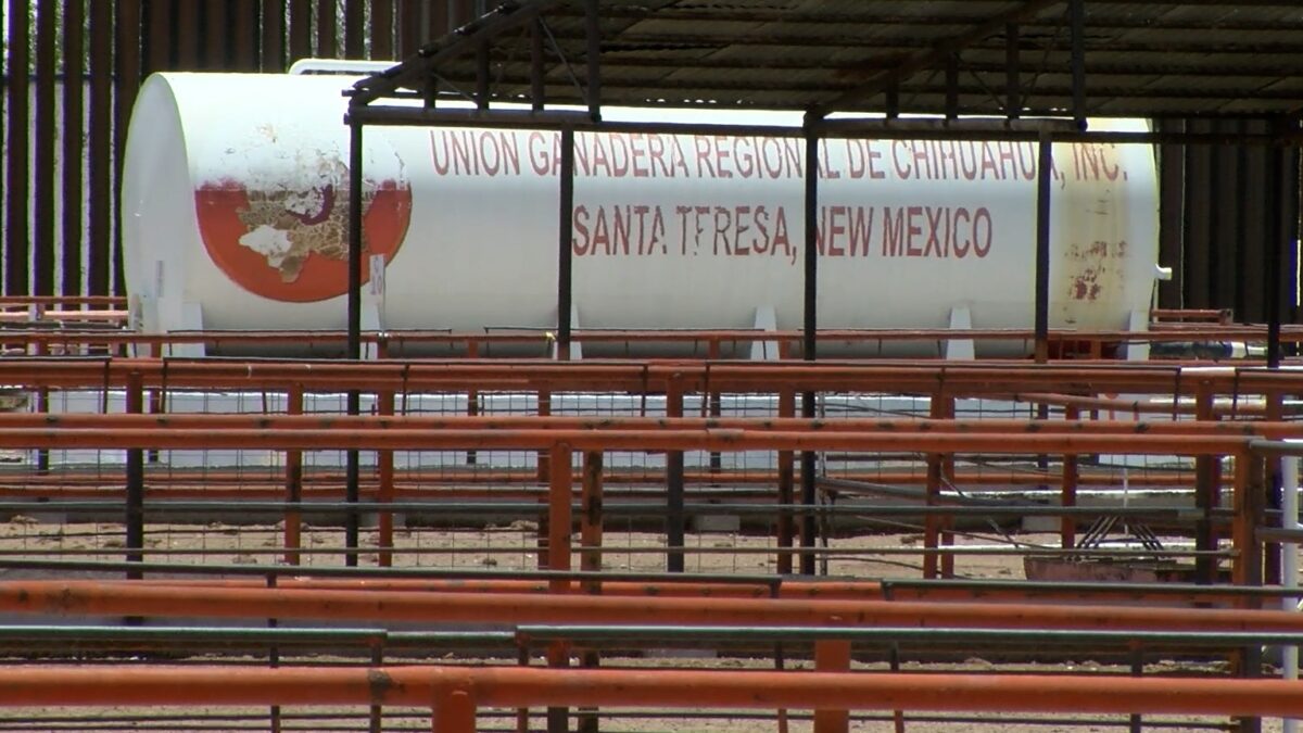 Santa Teresa livestock crossing to reopen amid New World screwworm prevention efforts