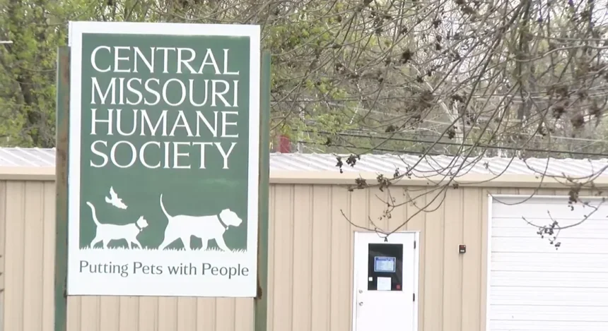 Central Missouri Humane Society halts dog intake after positive case of parvovirus