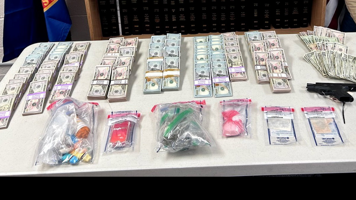 Lemhi County traffic stop nets $295