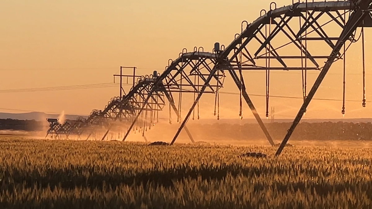 Airbnb launches new grant program to help Utah farmers