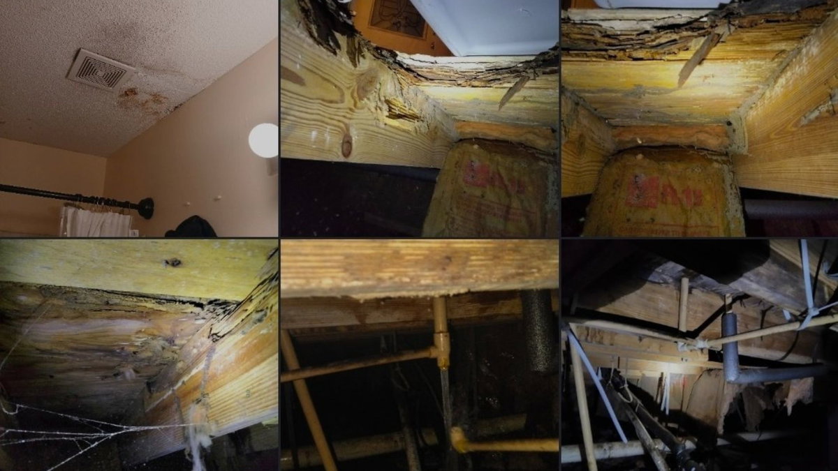 Yuma native asks for help after losing her home and suffering serious injuries