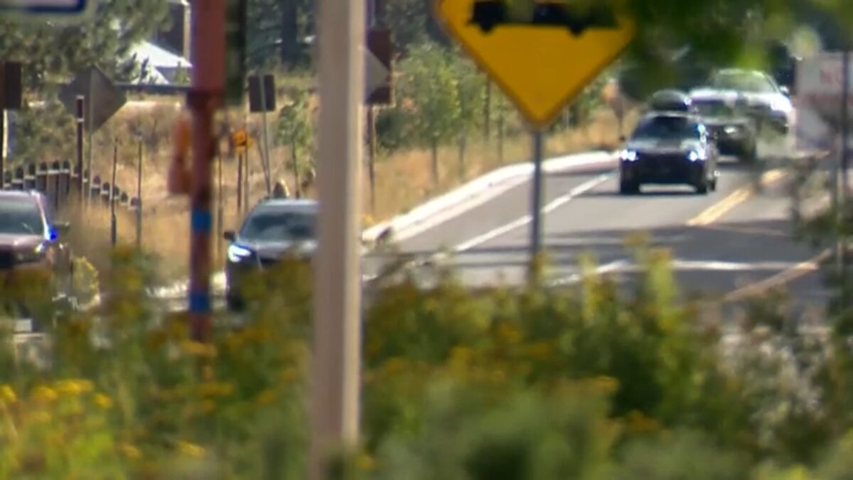 Six bear cubs have been killed in vehicle collisions on Tahoe-area roads over the past two weeks