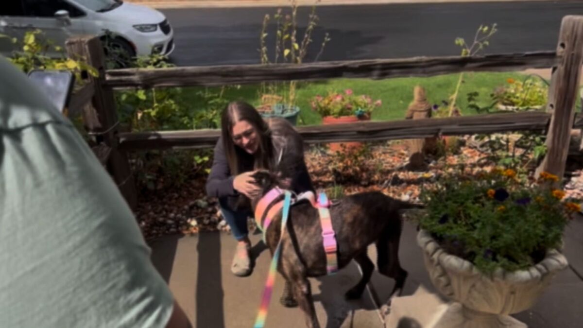 It's a reunion story five years in the making. A dog that disappeared in 2021