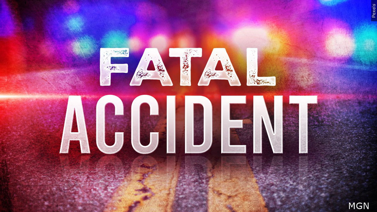 Pocatello driver killed in nighttime collision with elk on I-15