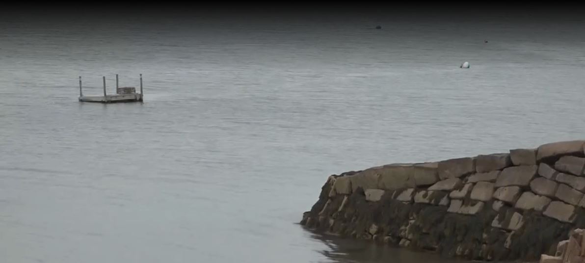 A Mount Desert father says his mother died while trying to save his two young children after their vehicle was found submerged off the coast of Roque Bluffs over the weekend.