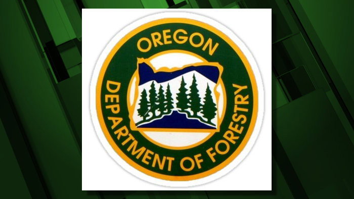 Oregon Board of Forestry Governance Committee meets virtually on Sept. 8