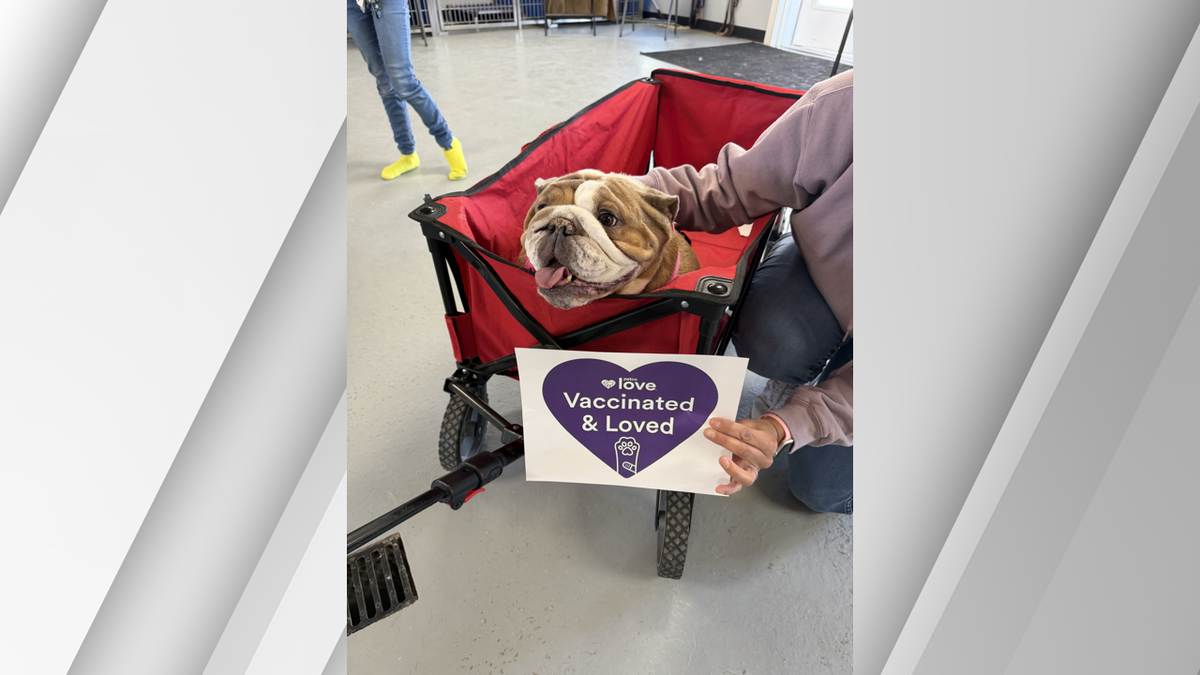 Snake River Animal Shelter to host free pet vaccine clinic Saturday