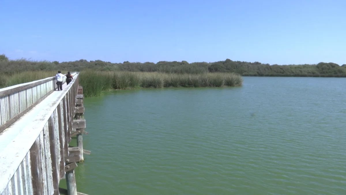 Volunteers Needed for Annual ‘Creeks to Coast Cleanup’
