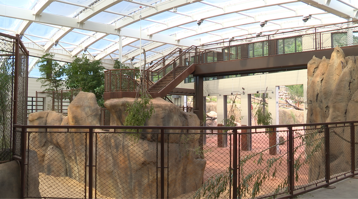 Cheyenne Mountain Zoo opens new Giraffe Center to the public for the first time