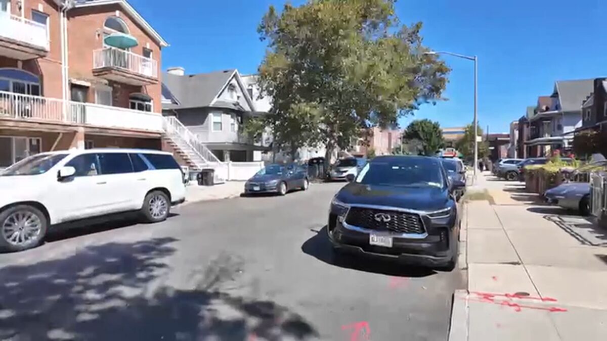 A New York City effort to plant more trees is facing opposition in Brooklyn's Bensonhurst neighborhood