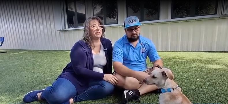 The dog that was filmed running across the tarmac at Naples Airport has been adopted by a local family after the video gained attention online.