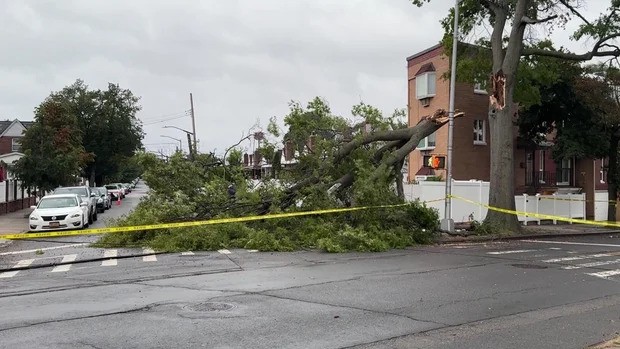 A large tree branch fell onto power lines and damaged part of a fence in Queens on Sept. 26