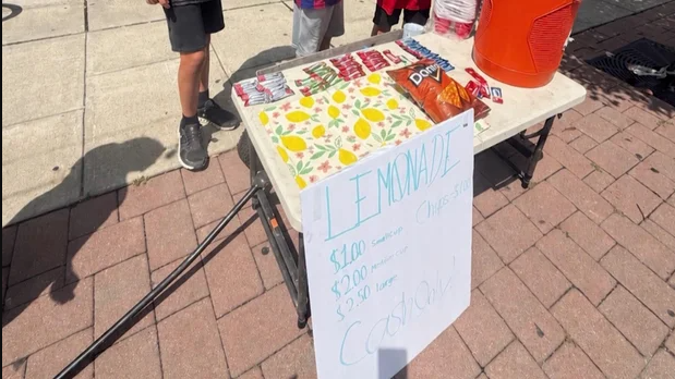 Video shows man stealing money from kids lemonade stand in New Jersey