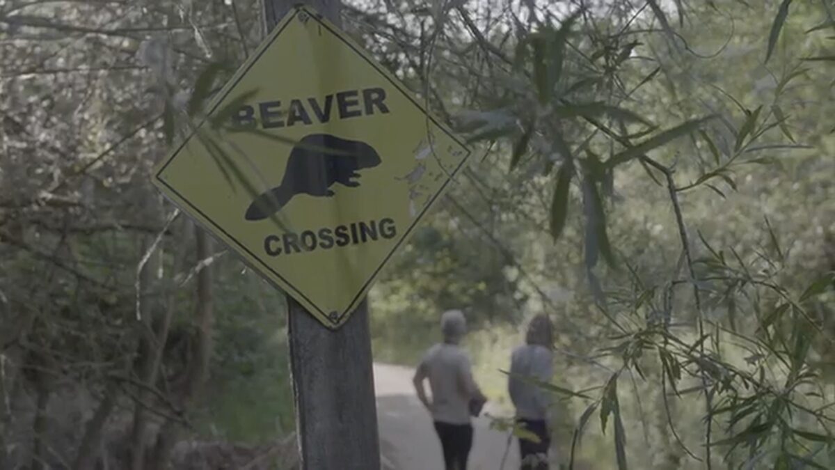 A beaver dam near one of Scandia's most historic sites is raising concerns about what higher water levels could mean for buildings that have stood for more than 150 years.