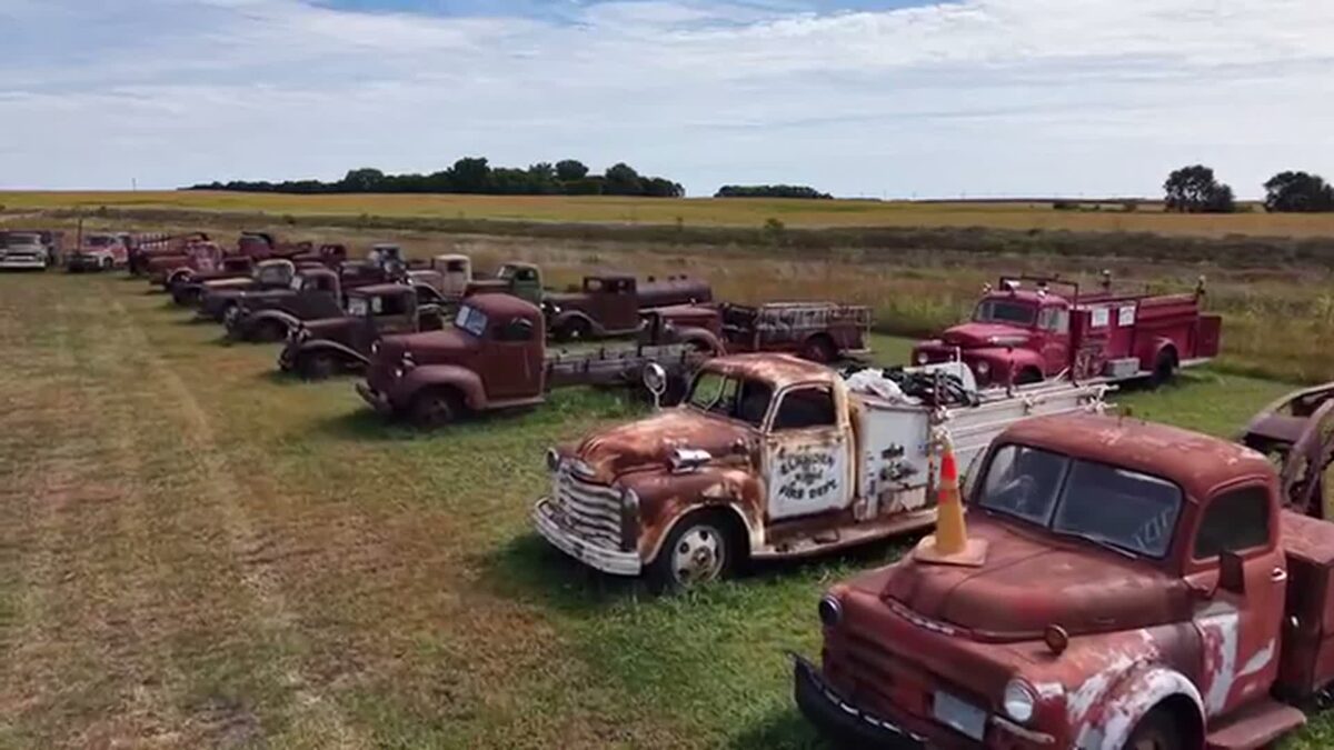 Row after row of old trucks sits lined up by make and model on a lot in Redwood Falls — Fords