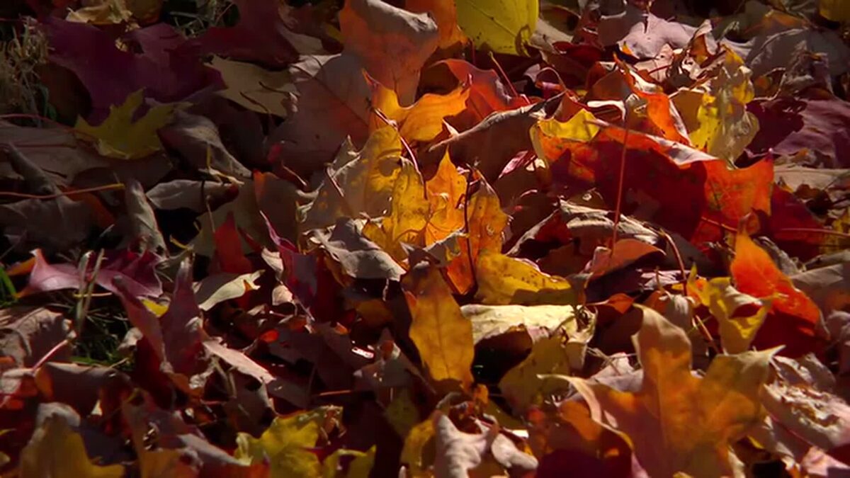 Some of the state's best color trips can be done in a day