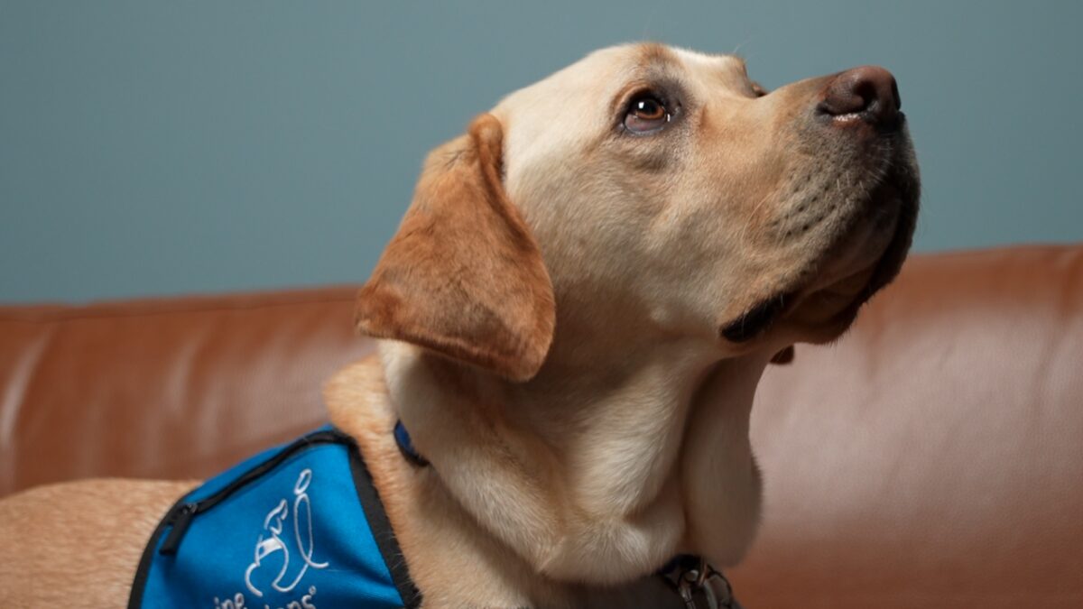 The Clermont County Prosecutor's Office has a new team member