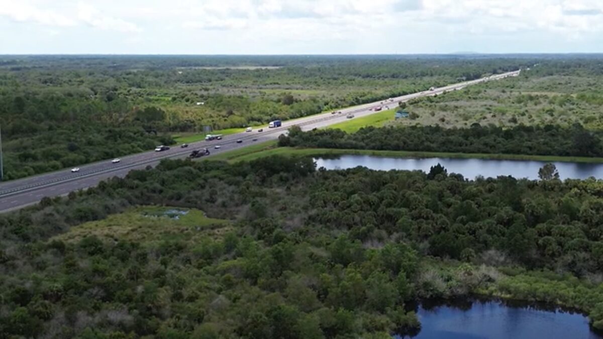 A 20-year-old woman was killed early Monday morning after a crash involving an alligator on Interstate 95 in Brevard County