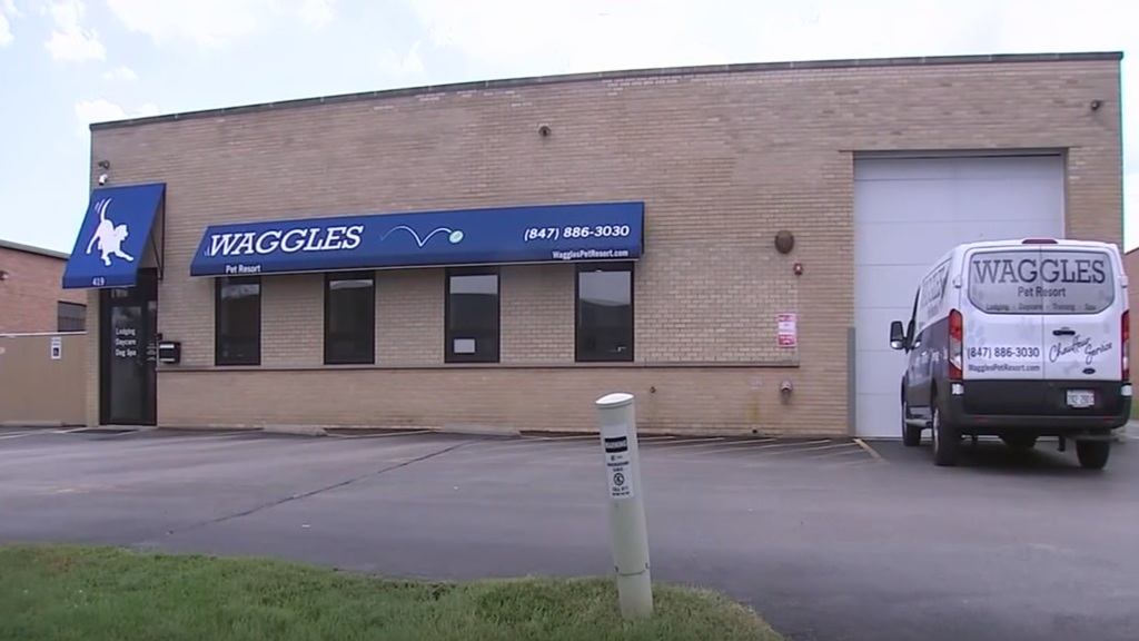 A Chicago-area dog owner is seeking accountability after a black lab named Miller died in a hot Wheeling Waggles Pet Resort dog daycare transport van.
