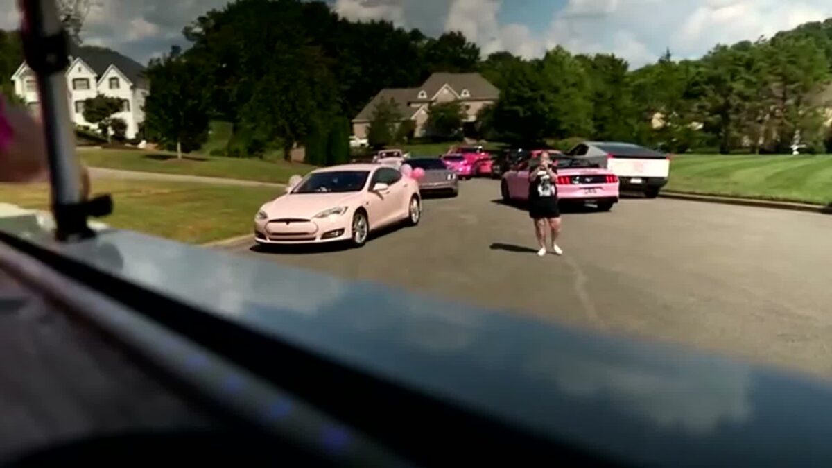 Fans in pink vehicles rolled through Williamson County past Dolly Parton's home to honor her life and legacy. See how one post brought a community together.