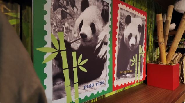Ping Ping and Fu Shuang are currently under quarantine in a biosecure area of the Zoo Atlanta's giant panda complex.