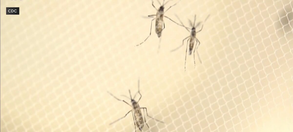 Health officials in Georgia say one person has died from the West Nile Virus.