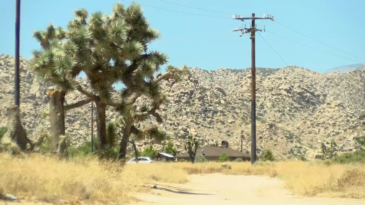Newsom signs Wallis’ Joshua Tree bill into law