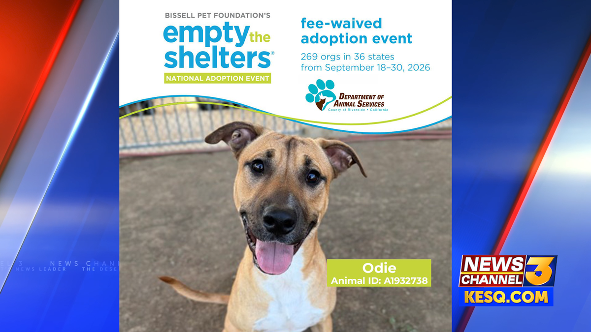 Riverside County shelters offer reduced adoption fees through September 30