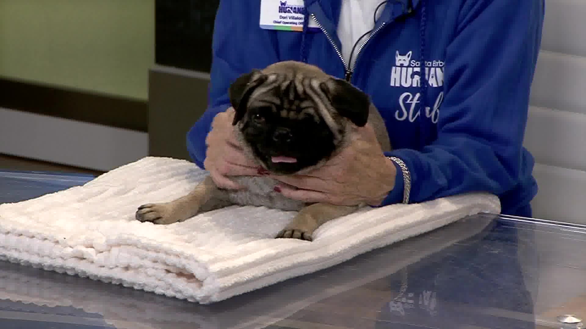 SB Humane Sweetens Your Morning with Wilma!