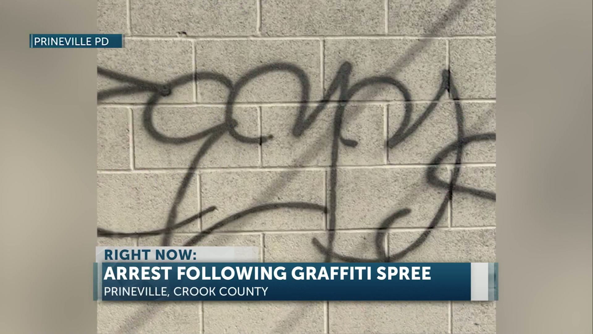 Prineville man faces nine counts of criminal mischief and resisting arrest