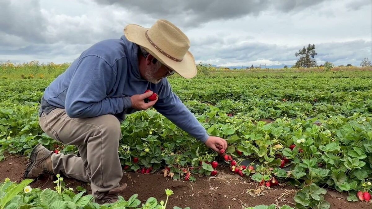 Fall harvest underway as Central Oregon farmers prepare for changing season