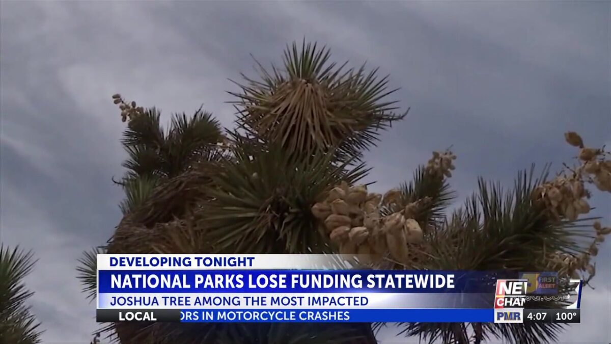 Joshua Tree National Park faces $1.2 million funding cut