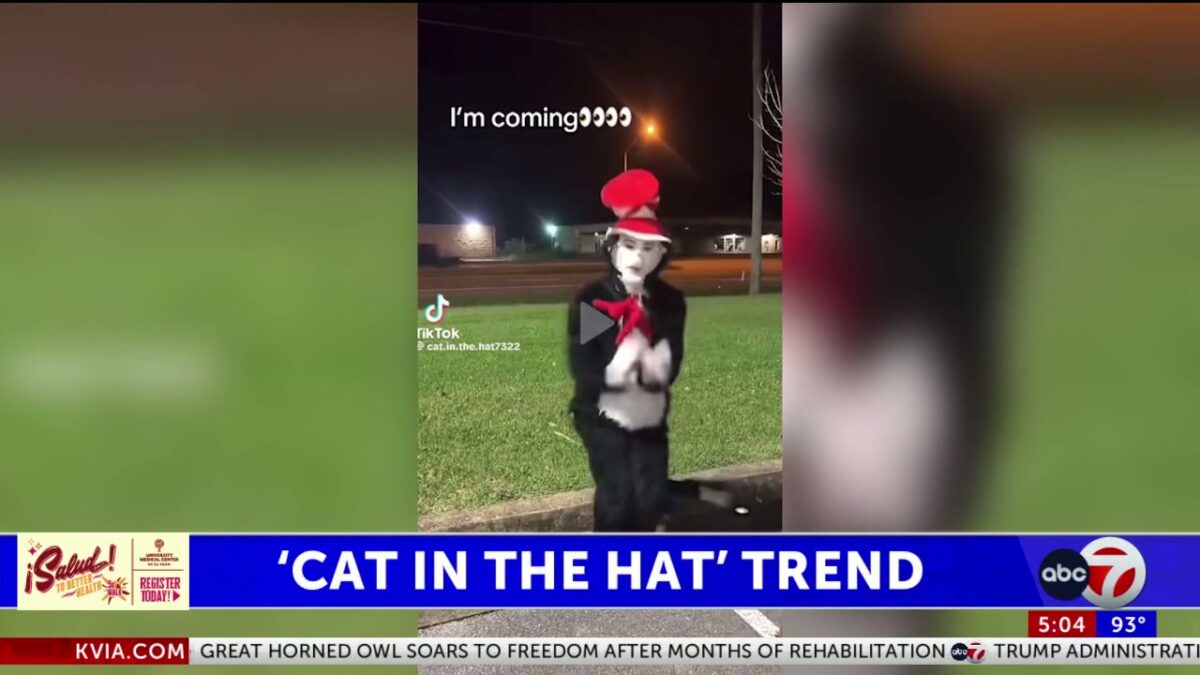 Authorities warn of legal risks as ‘Cat in the Hat’ trend spreads