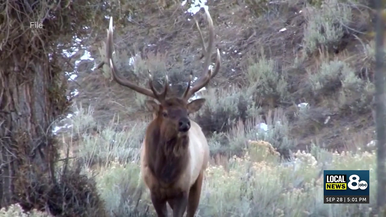 Safety remains key as Idaho hunters prepare for upcoming seasons