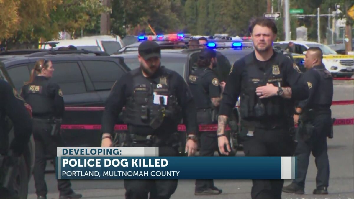 German Shepherd K9 Kylo dies following shooting in Portland