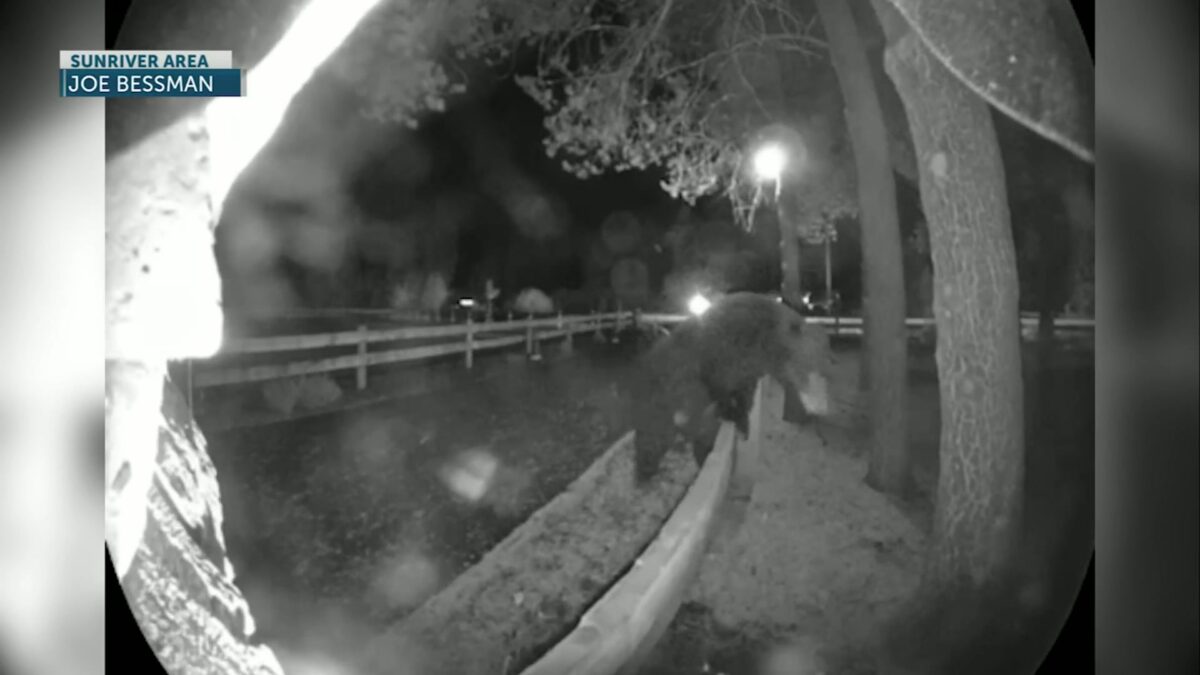 Bear captured on Ring camera near Sunriver area