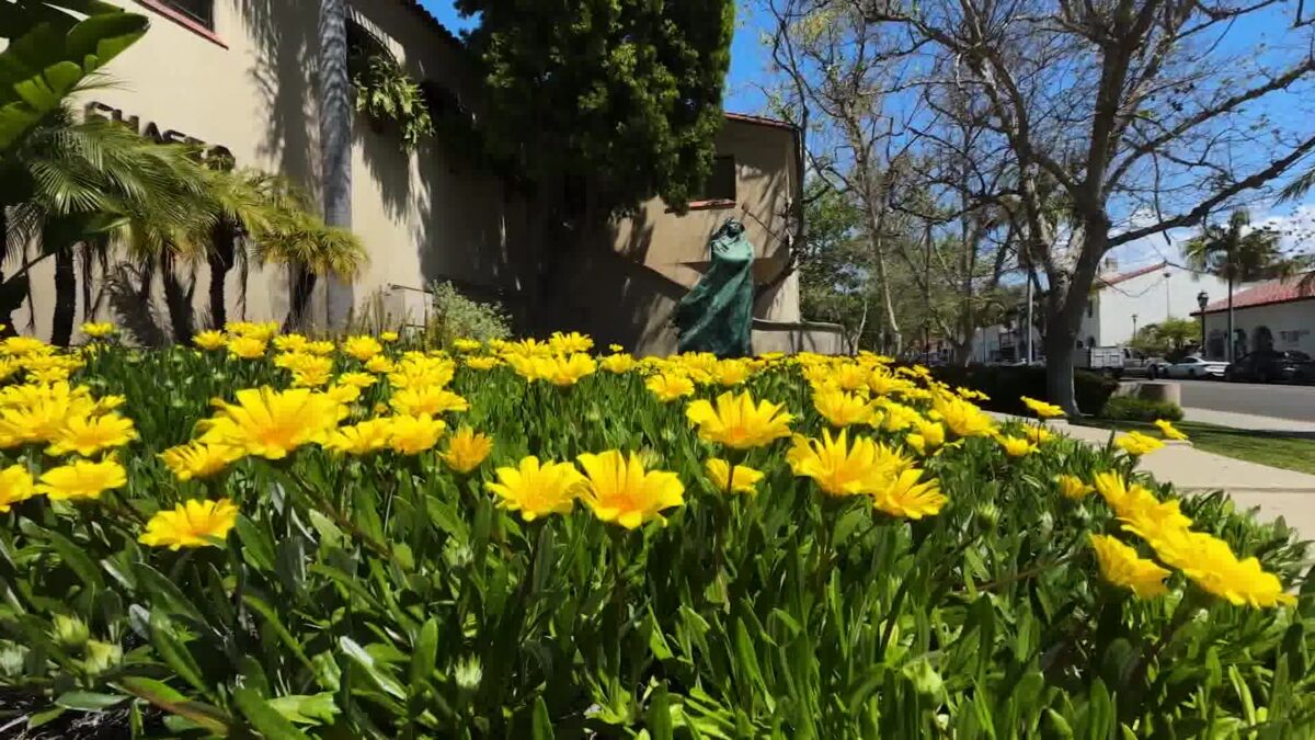Cooler Weekend to Bring Relief to the Central Coast After Heat Wave