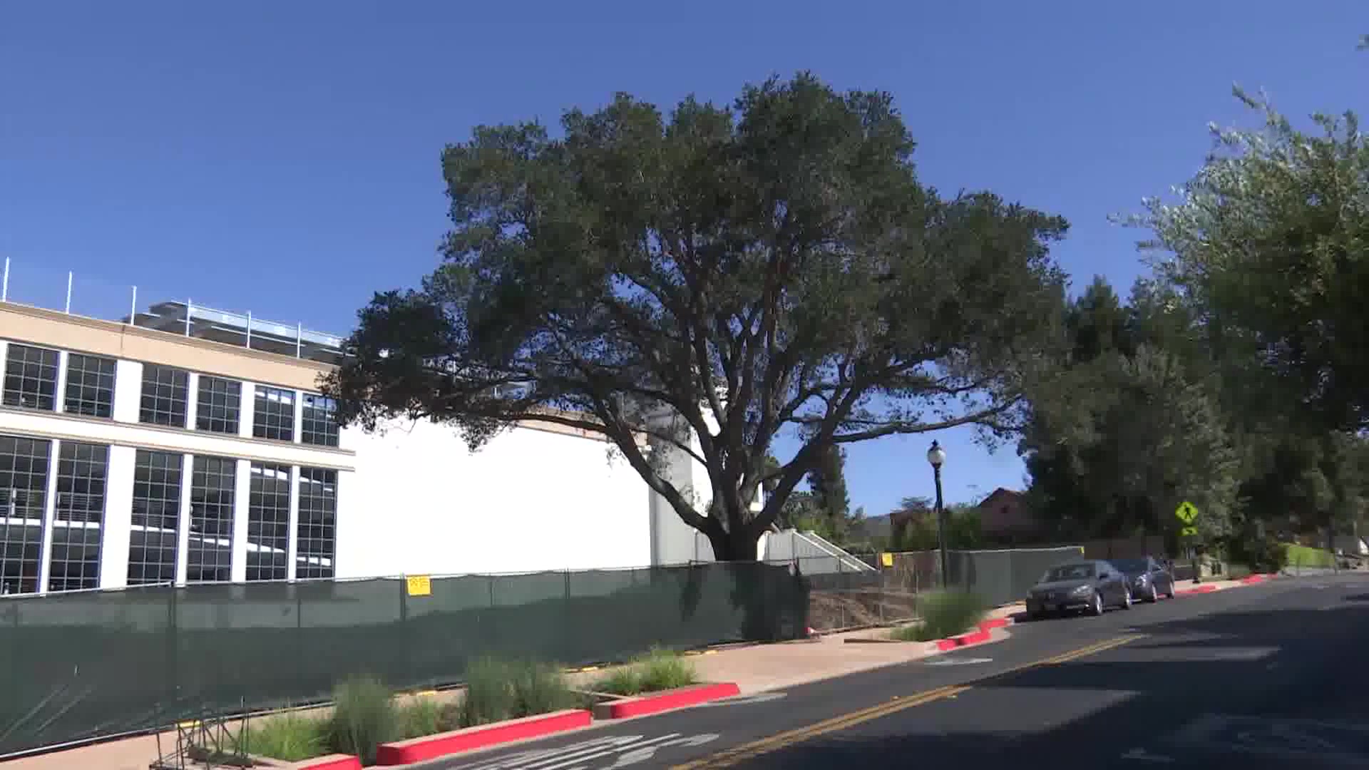 SLO REP announces groundbreaking of new theater and preservation of historic oak tree