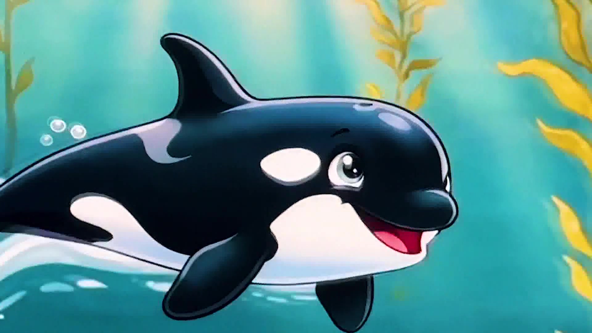 Fifth Grader Turns Orca Encounters Into Ocean Learning for Kids