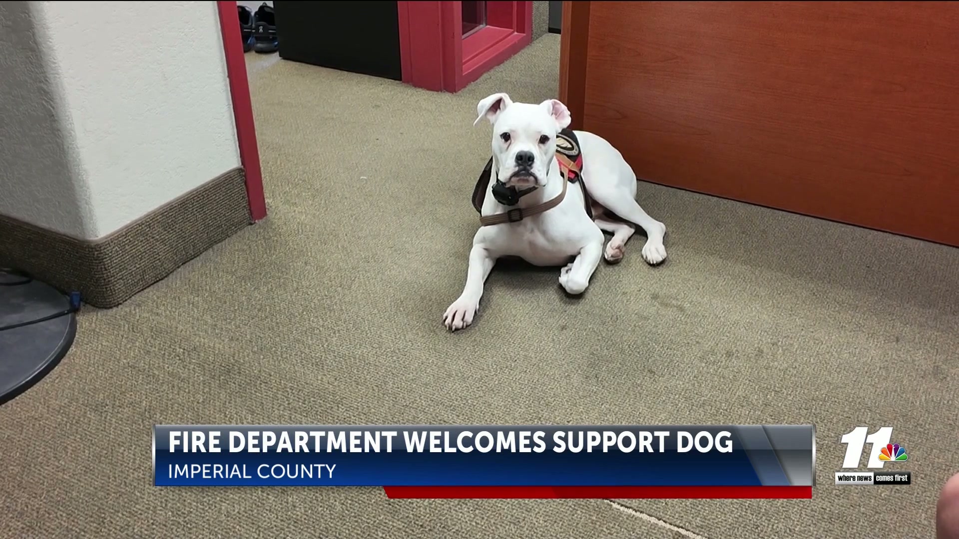 ICFD welcomes new emotional support dog named Courage