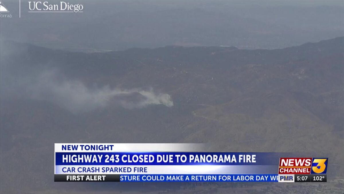 Vehicle fire spreads to vegetation
