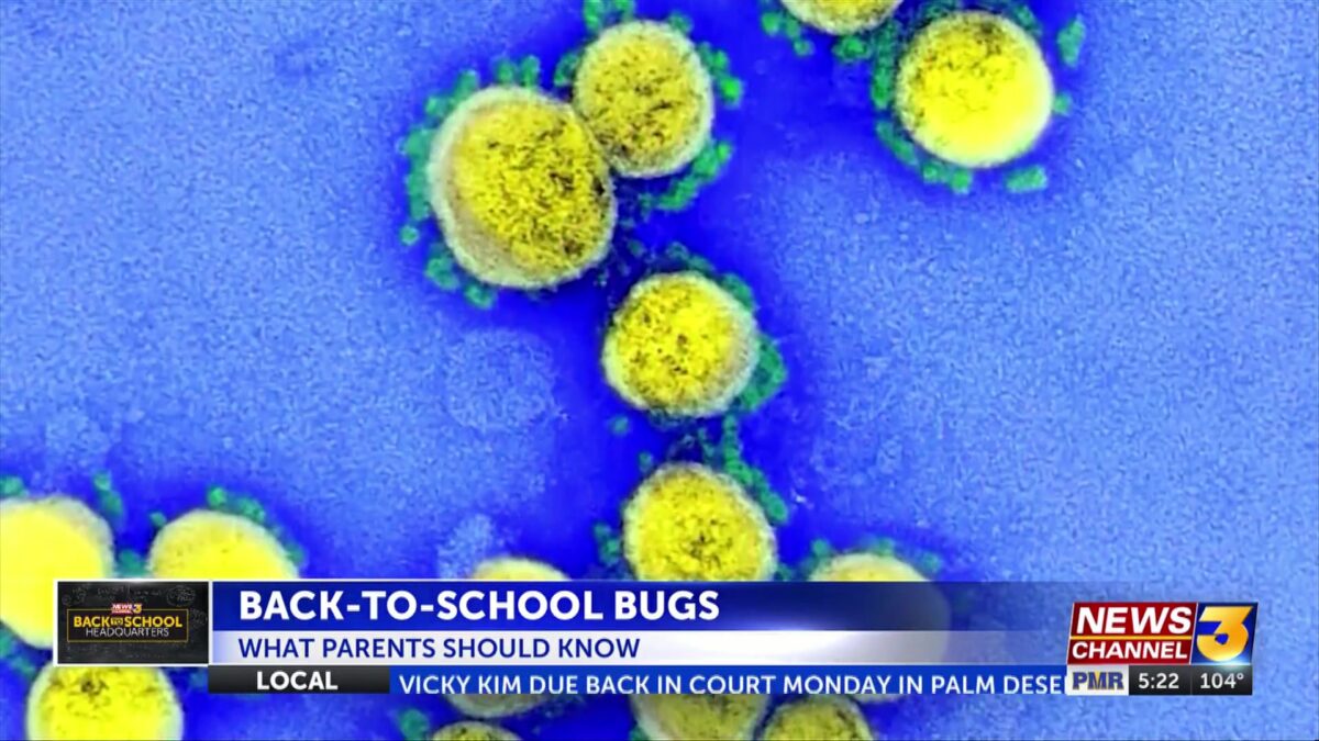 Back-to-school bugs: what parents should know
