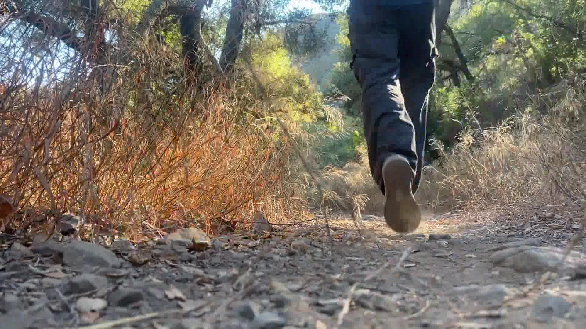 Trails open following storm repairs