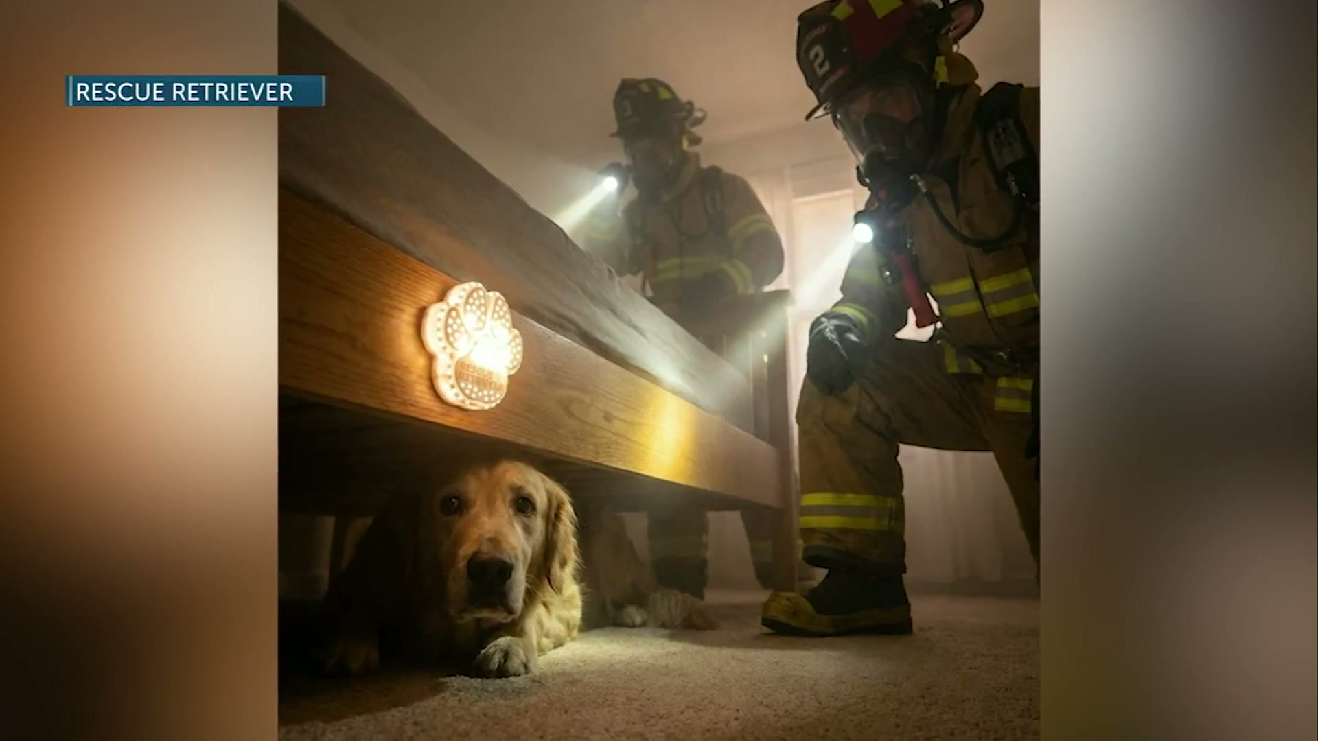 A new device helps firefighters find pets during house fires
