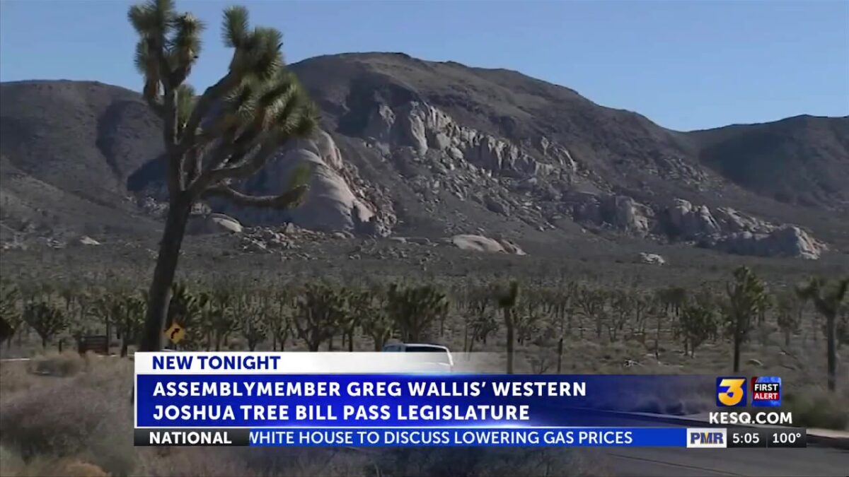 Assemblymember Greg Wallis’ western Joshua Tree bill passes legislature