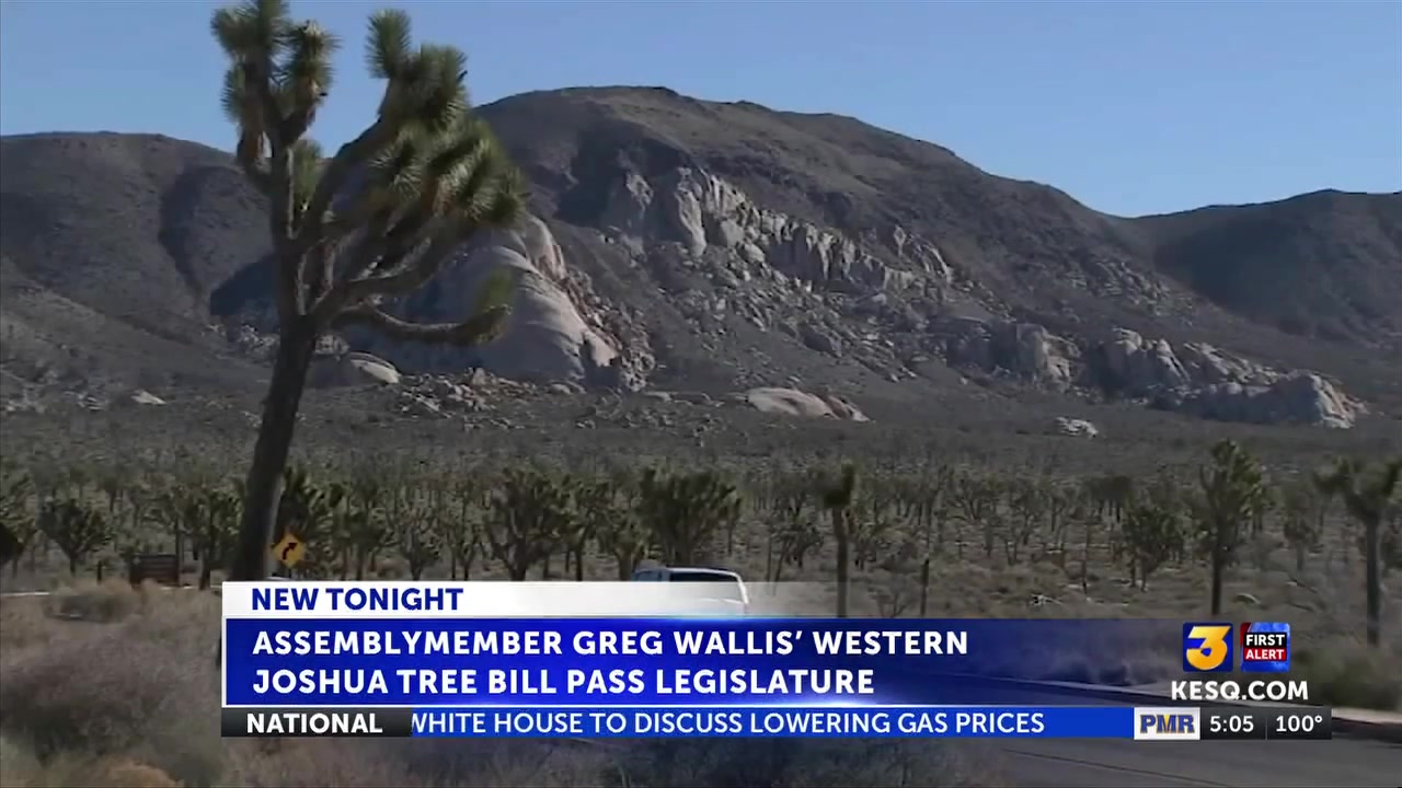 Assemblymember Greg Wallis’ western Joshua Tree bill passes legislature