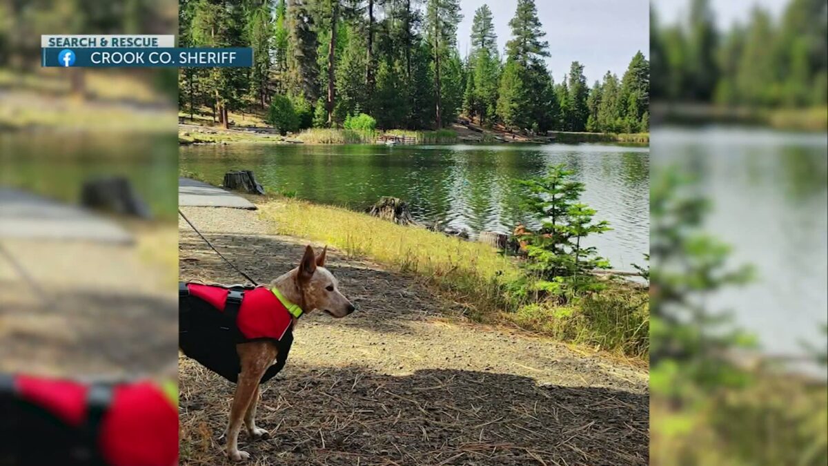 There’s Good News: Crook County K9s undergo three days of specialized training