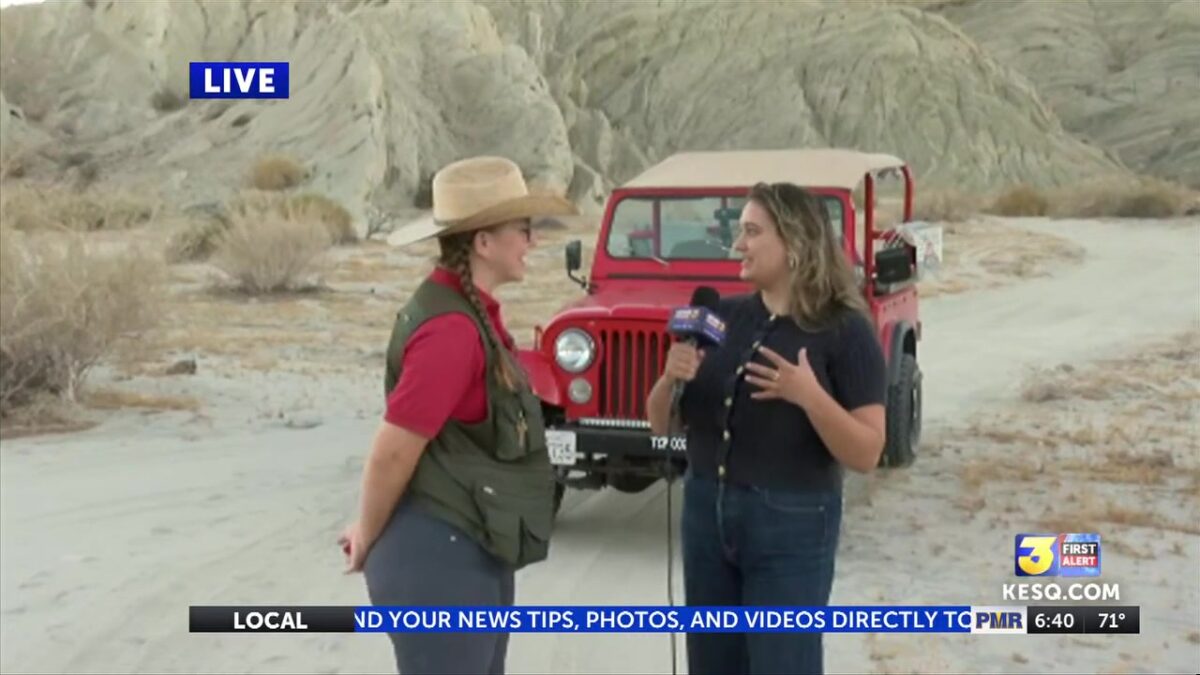 Labor Day staycation: exploring the desert