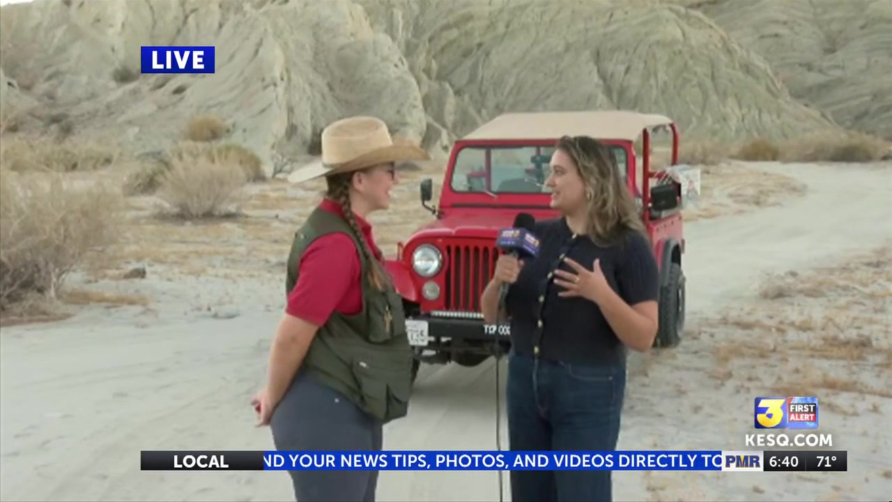 Labor Day staycation: exploring the desert