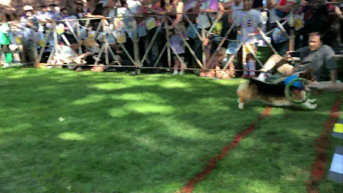 Great Bark Bash draws hundreds to downtown Bend
